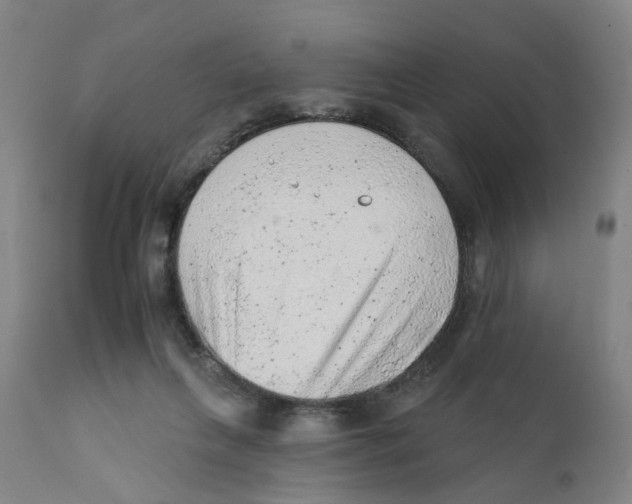 X0000111940263200908241147