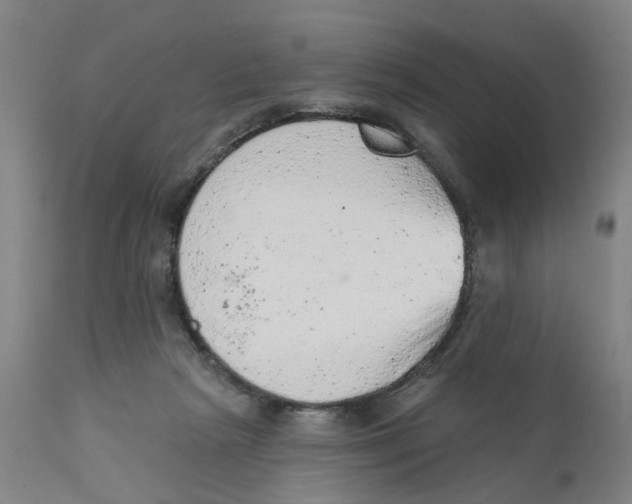 X0000111940265200908241147
