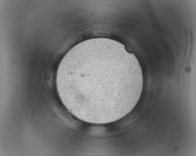 X0000111940266200908241147