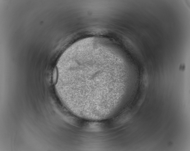 X0000111940268200908241148