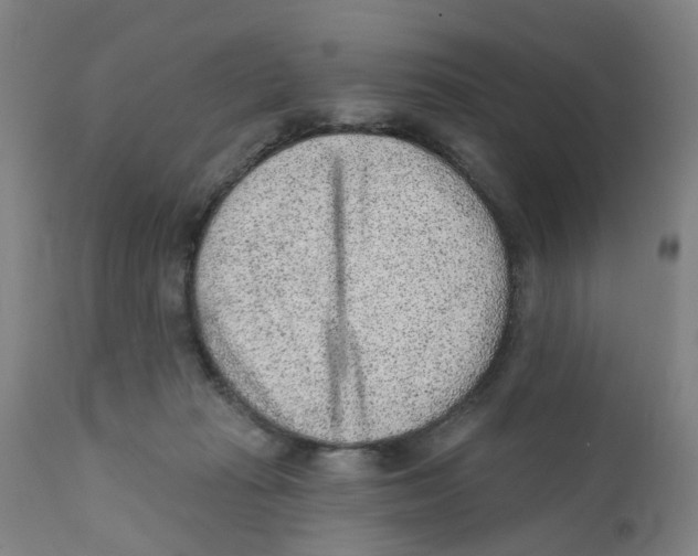 X0000111940269200908241148