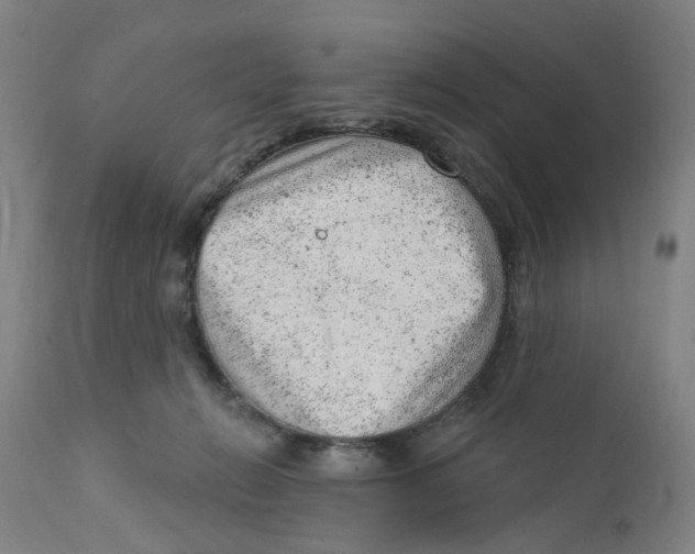 X0000111940270200908241148