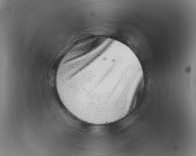 X0000111940273200908241148