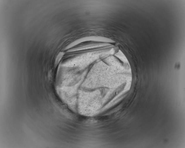 X0000111940276200908241148