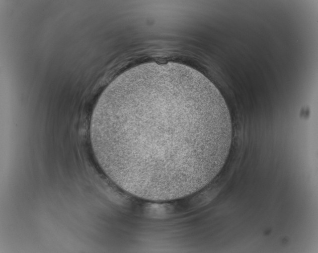 X0000111940277200908241148