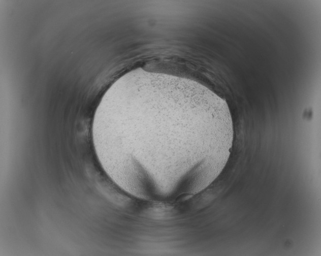 X0000111940278200908241148