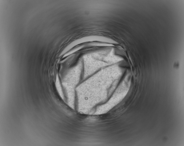 X0000111940280200908241148