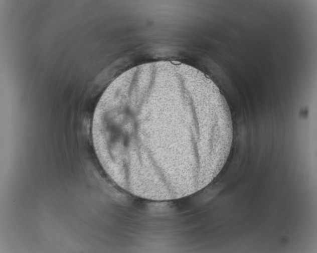 X0000111940281200908241148