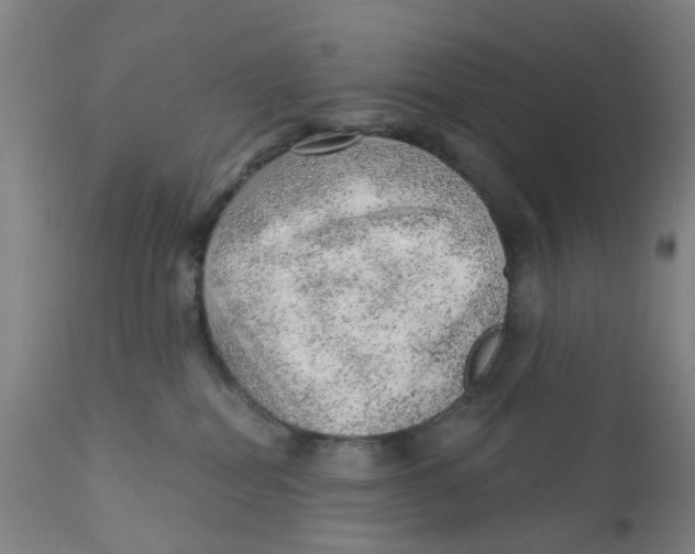 X0000111940282200908241148