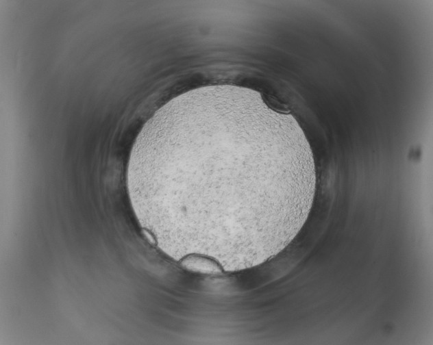 X0000111940283200908241148