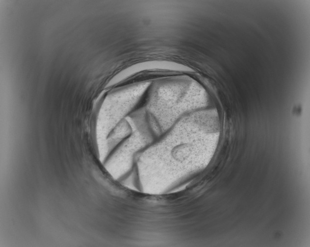 X0000111940284200908241148