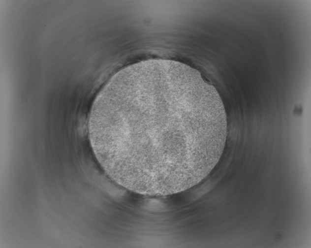 X0000111940285200908241148