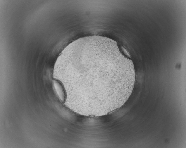 X0000111940286200908241148