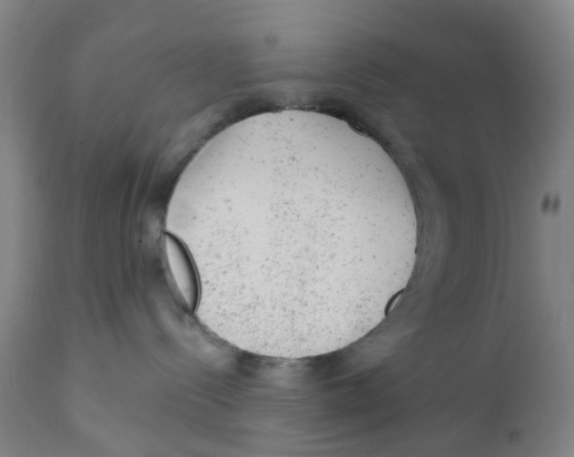 X0000111940288200908241148