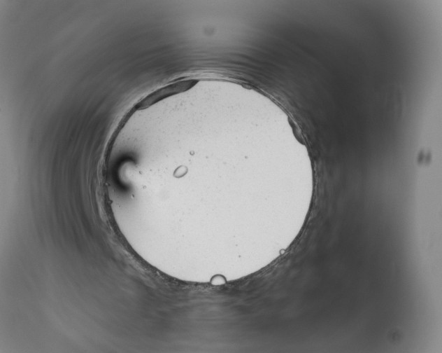 X0000111940289200908241147