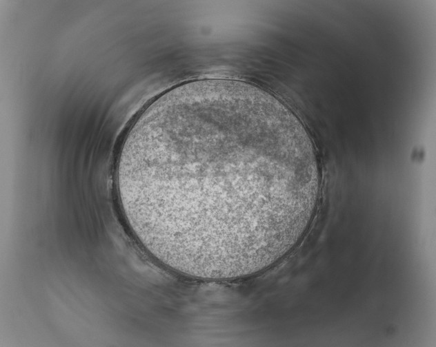 X0000111940290200908241147