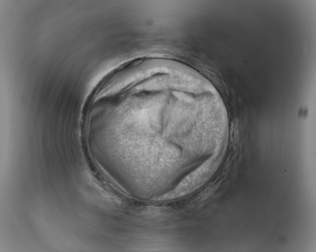 X0000111940292200908241147