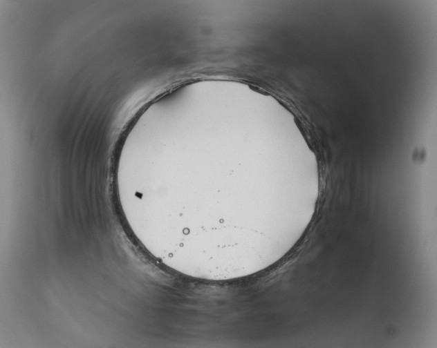 X0000111940293200908241147