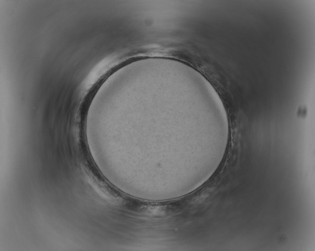X0000111940295200908241147