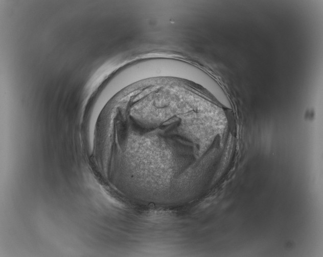 X0000111940296200908241147