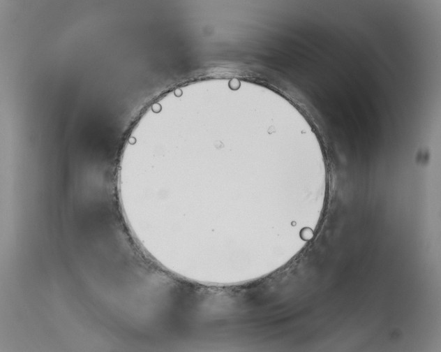 X0000111940297200908241147