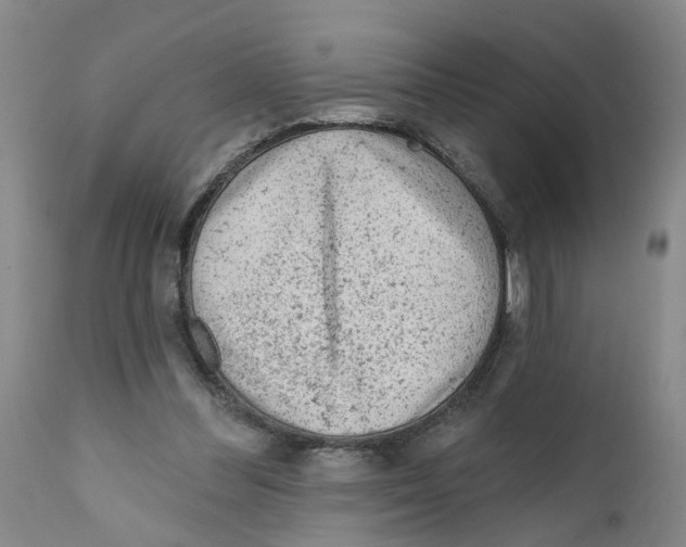 X0000111940300200908241147