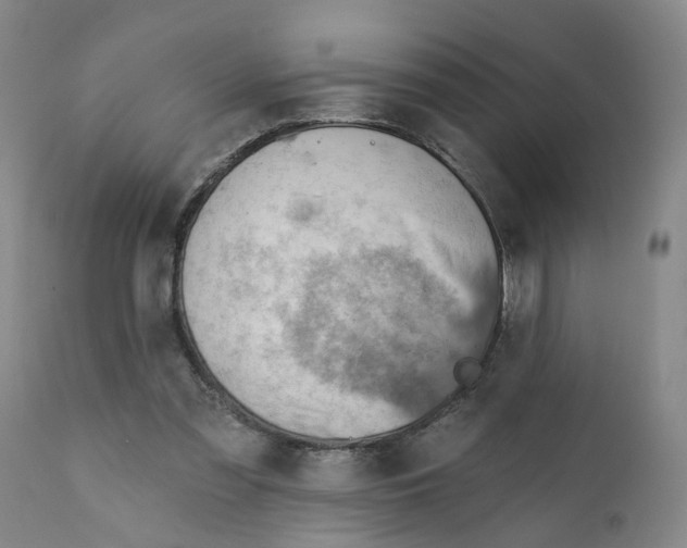 X0000111940301200908241147