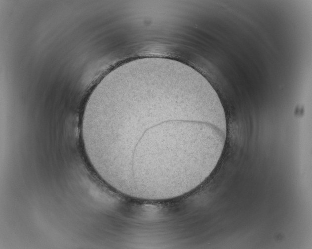 X0000111940302200908241147