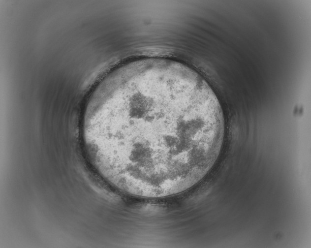 X0000111940303200908241147