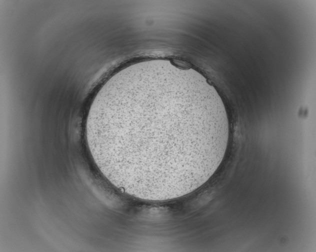 X0000111940304200908241147