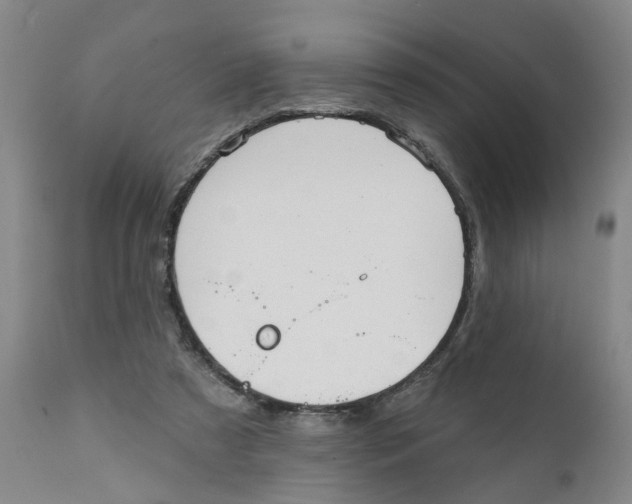 X0000111940305200908241147