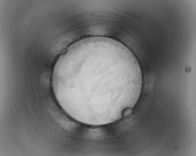 X0000111940309200908241147