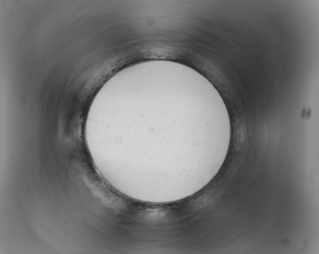 X0000111940310200908241147