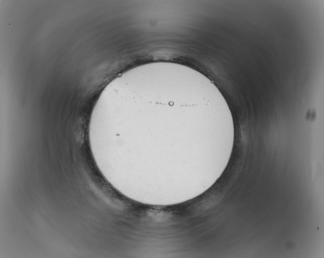 X0000111940311200908241147