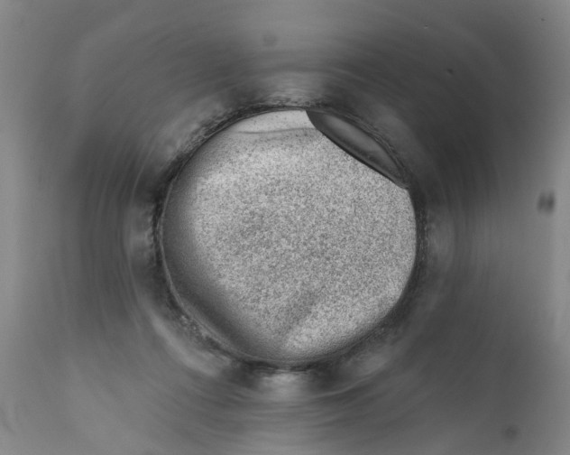X0000111940312200908241147