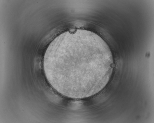 X0000111940313200908241147