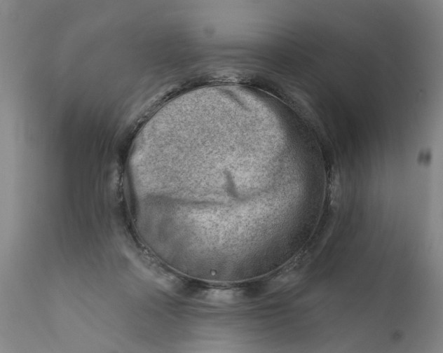 X0000111940314200908241147
