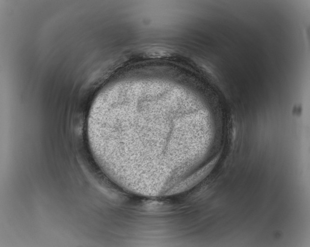 X0000111940315200908241147