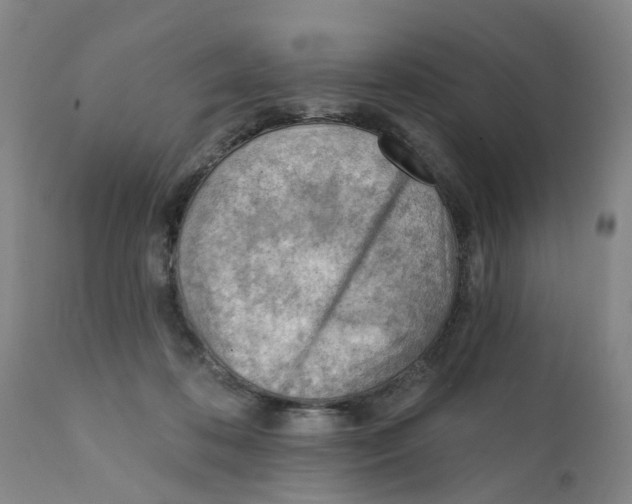 X0000111940316200908241147
