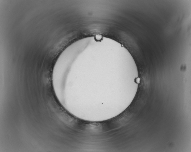 X0000111940317200908241147