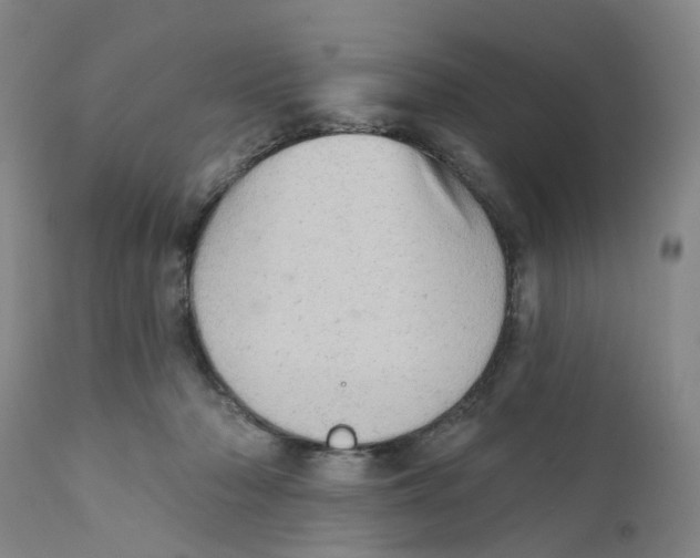 X0000111940318200908241147