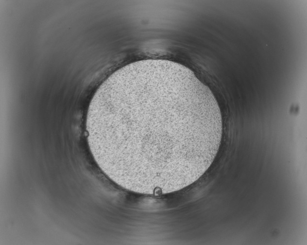 X0000111940319200908241147