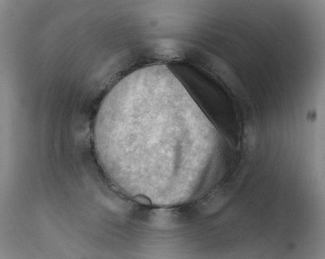 X0000111940320200908241147