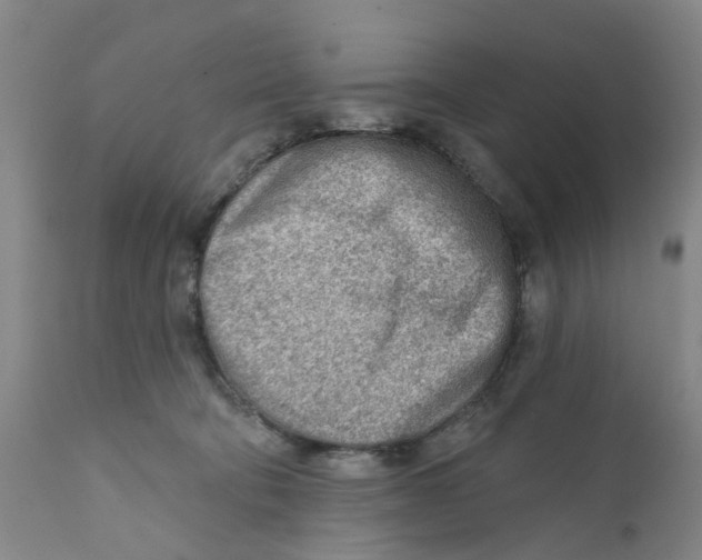 X0000111940322200908241147