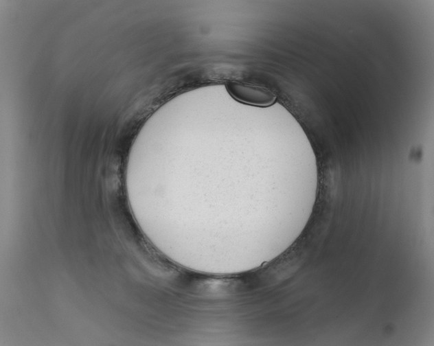 X0000111940323200908241147