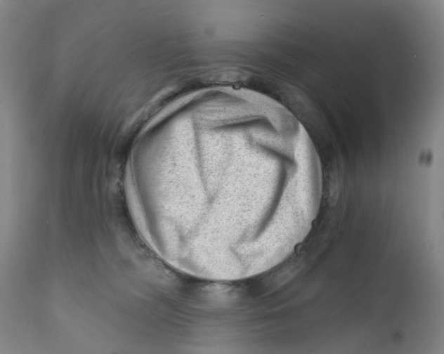 X0000111940326200908241147