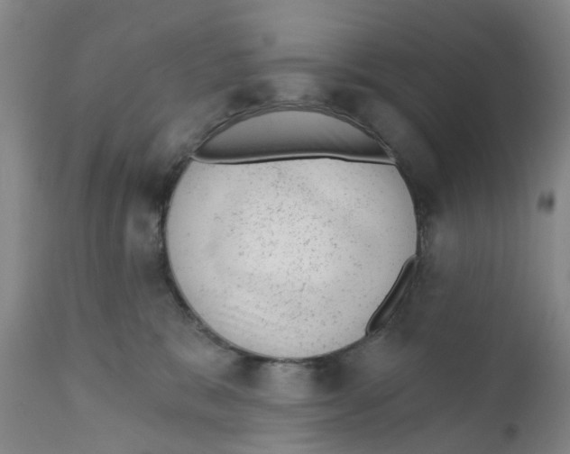 X0000111940327200908241147