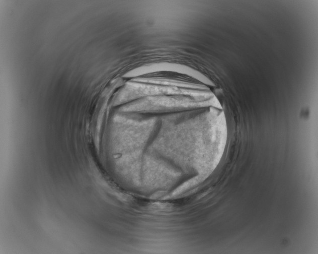 X0000111940328200908241147