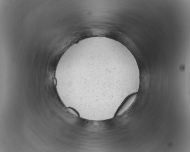 X0000111940329200908241147