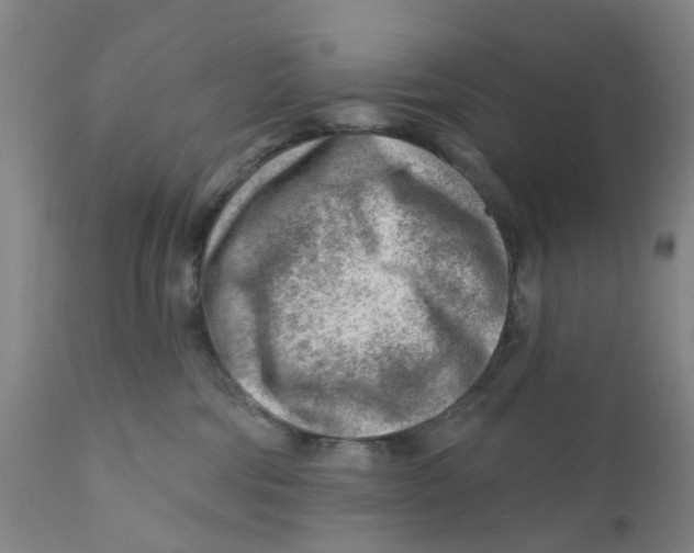 X0000111940330200908241147